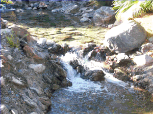 Fountain1