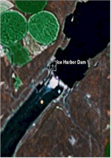 Ice Harbor Dam